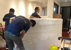 �ϳ��ҹ���